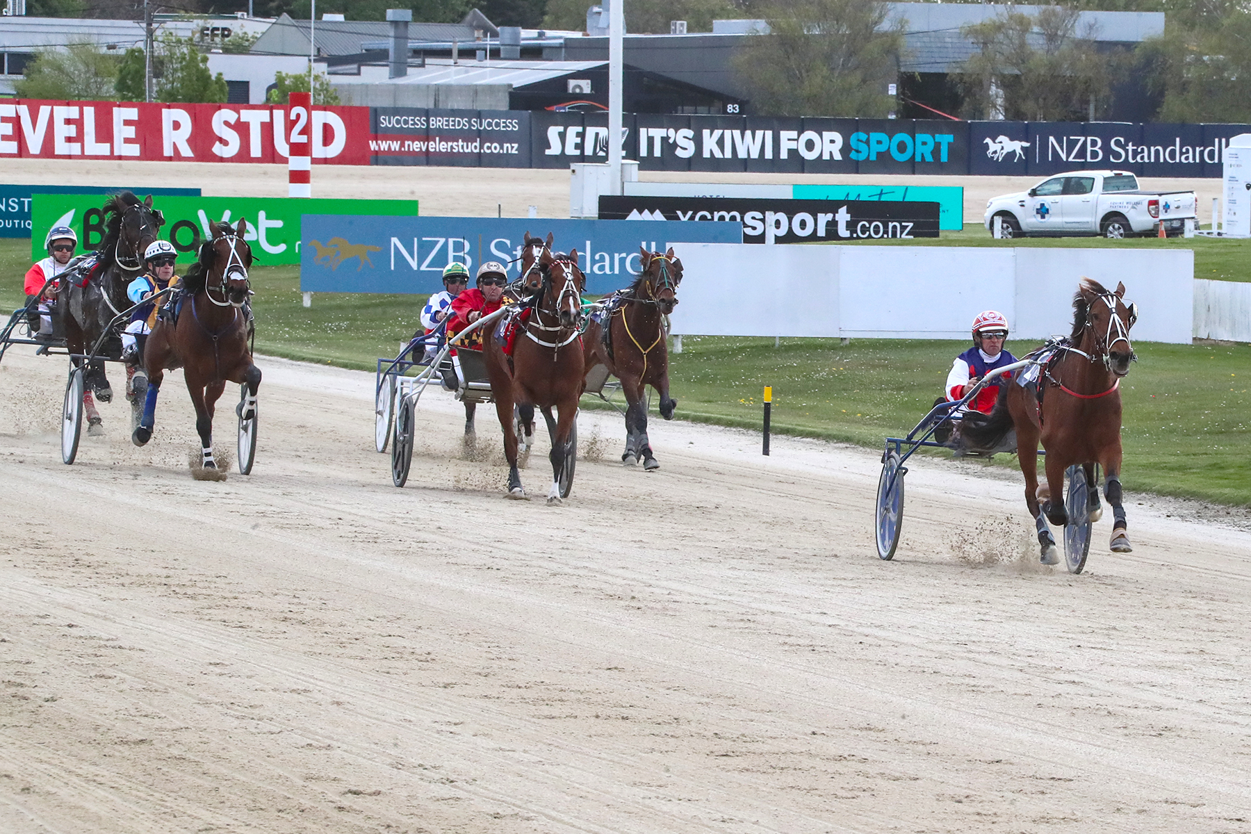 paramount kiwi win